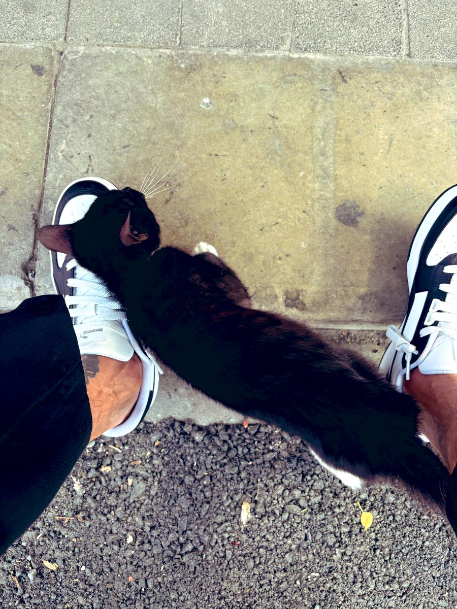 Ben çağırmadım o seçti