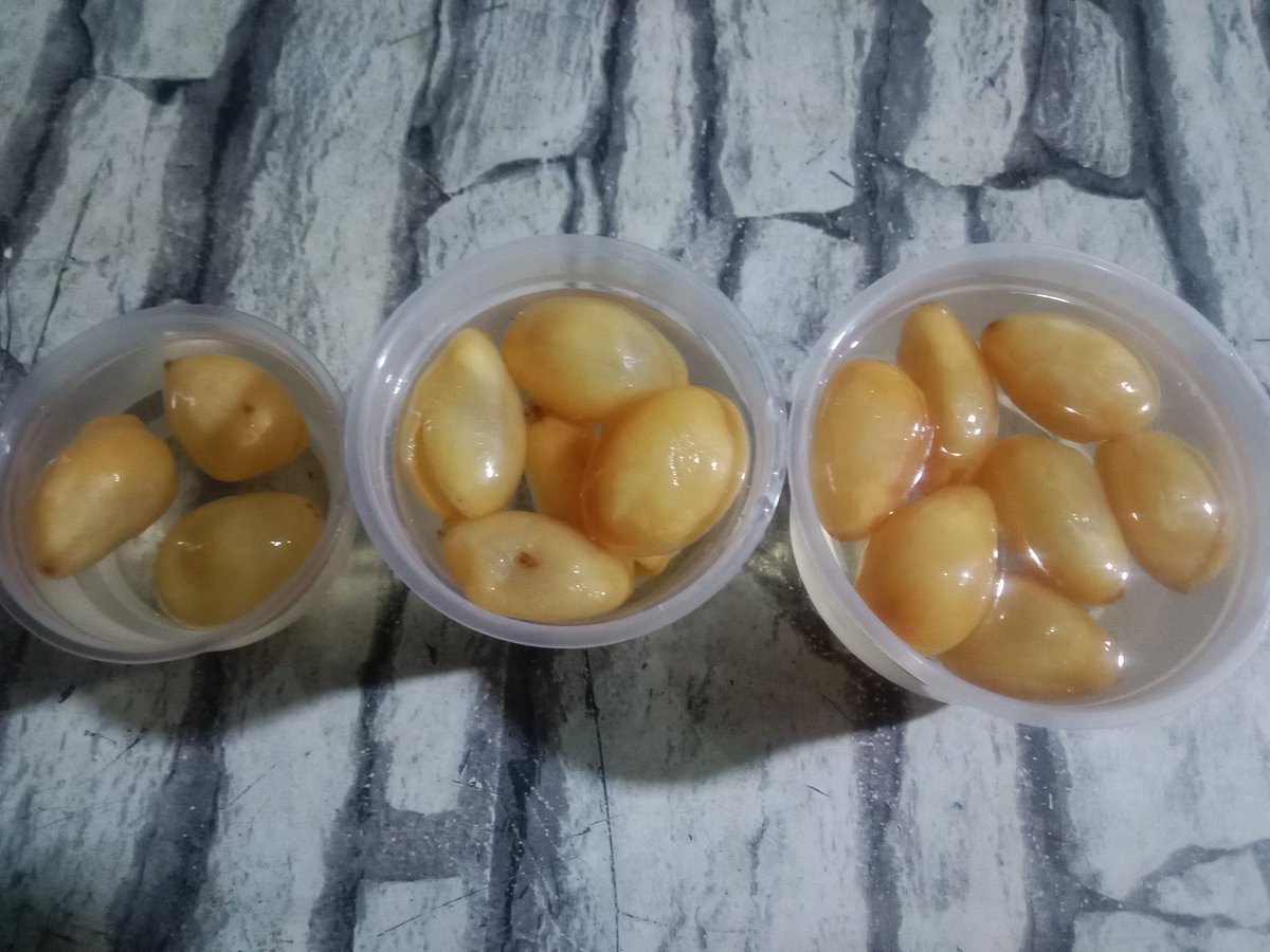 ตอนนีัเจ้หงกับสีกากอฟกำลังมาแรง ว่าไม่ตรงปก แต่ #สละลอยแก้วของเราตรงปกแน่นอน
 #แถมอร่อยด้วย 
#สั่งของเราไม่ต้องกลัวนะค่ะไม่มีตั้งกล้องแน่นอน🤣
#รับจ้างคว้านสละ
#รับสร้างแบร์นสละลอยแก้ว
#ขายเนื้อสละคว้าน
#สละลอยแก้ว3รส
#ยุวดีสละลอยแก้ว
#ส่งทั่วประเทศค่ะ