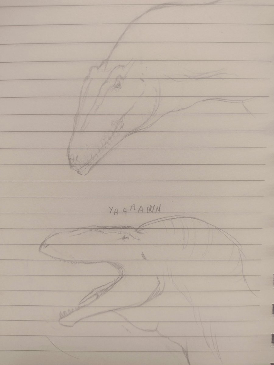 icchr_'s tweet image. one more dinosaur