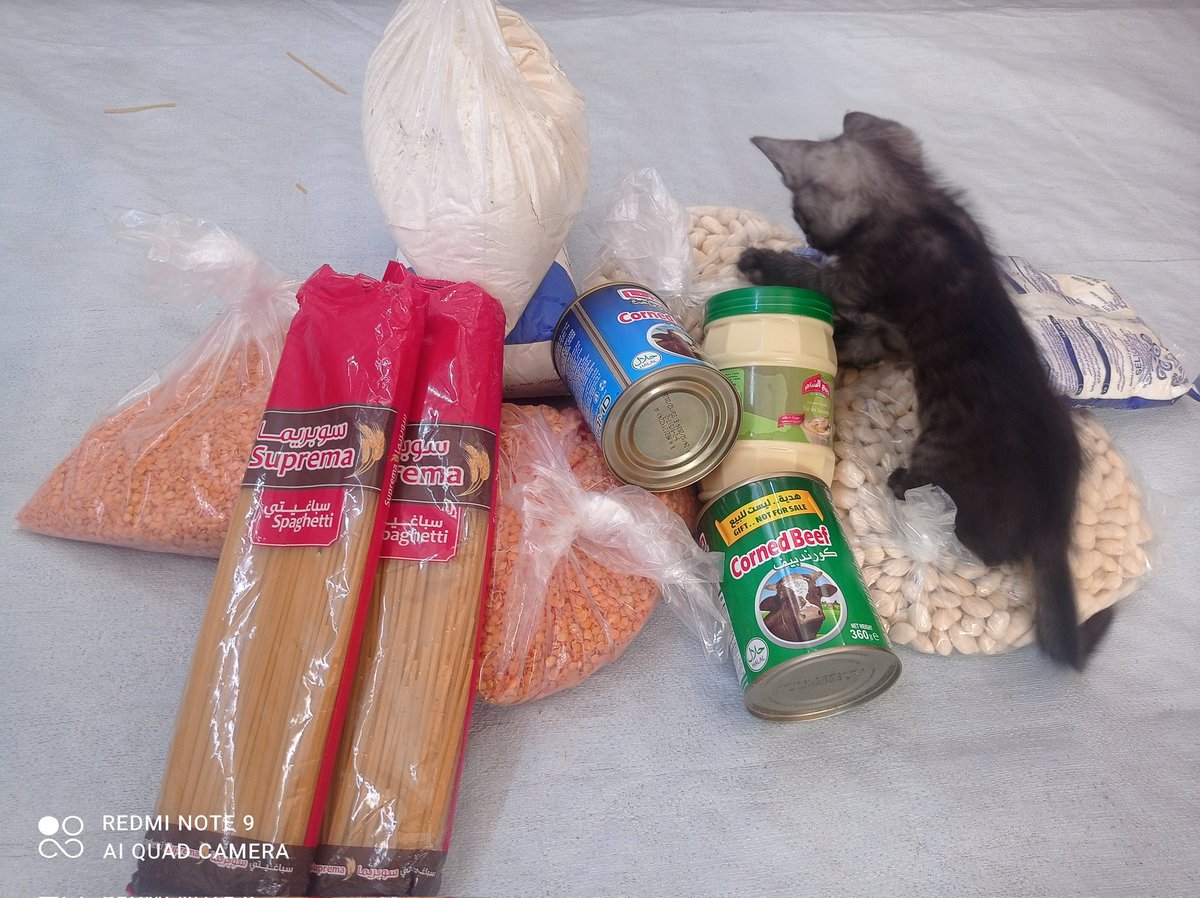 Lawyer_Animal1's tweet image. A blessed Friday dear friends.
Today’s shopping will keep family and cats in body and soul for 2-3 days..
Total 590NIS $177.
2 kg flour 200NIS $60
1 kg spaghetti 50NIS $15
2 kg beans 60NIS $18
1 kg salt 30NIS $9
Tahini for 30NIS $9
2 cans beef 100 NIS $30
gofund.me/795a026d