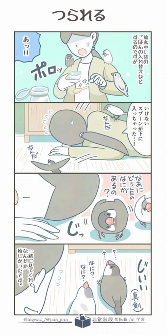 一緒に色々やろうとしてくれるのって、群れの一員と思ってくれているようで嬉しかったりします。

#漫画が読めるハッシュタグ #buncho #文鳥 