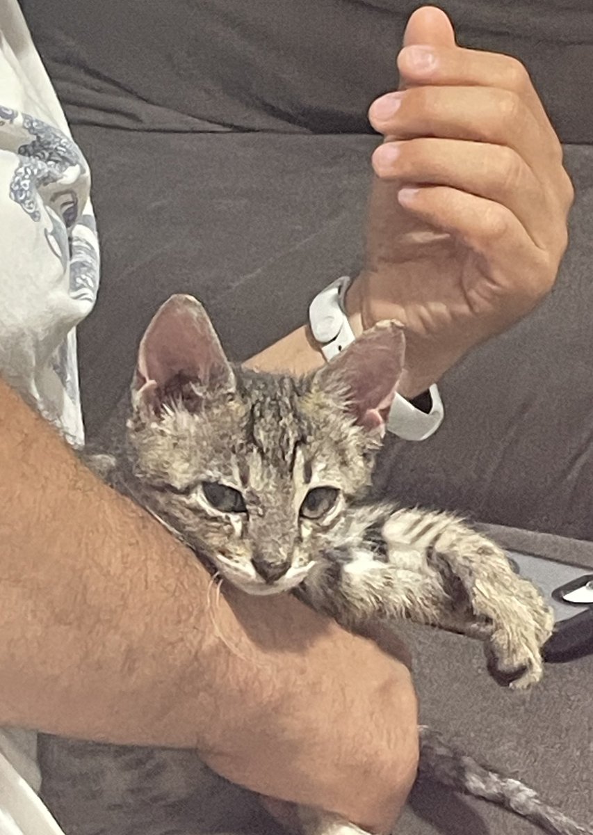 Ne bakıyon bilader
Simit var poğaça var🤣