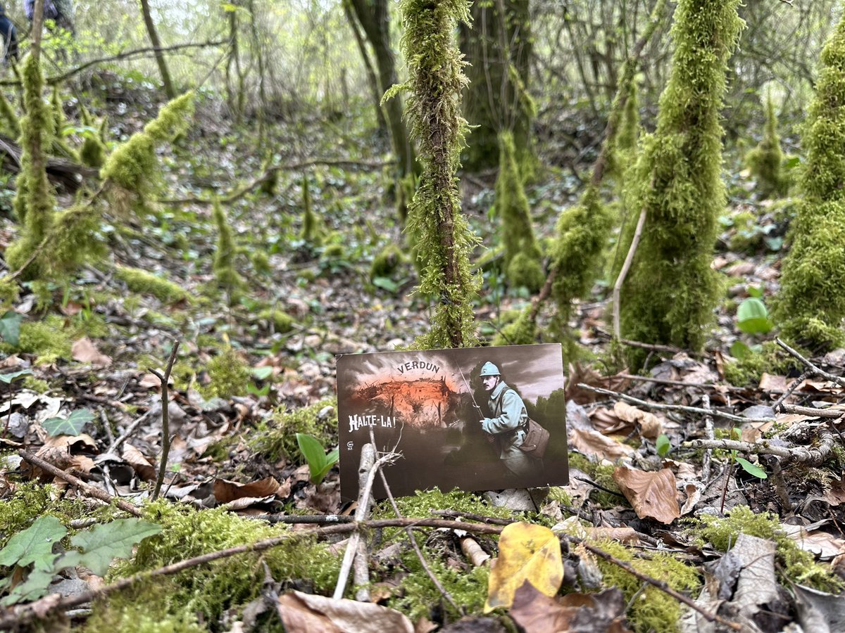 Where the Past still Haunts: First World War

Quiet landscapes where 100+ years ago, brutal action raged. Today they seem peaceful, but the ghost of the past hangs heavy, a🧵

Verdun, Thiaumont, 
Original written 6.9.16, back in location

"I thought I had seen my final hour"