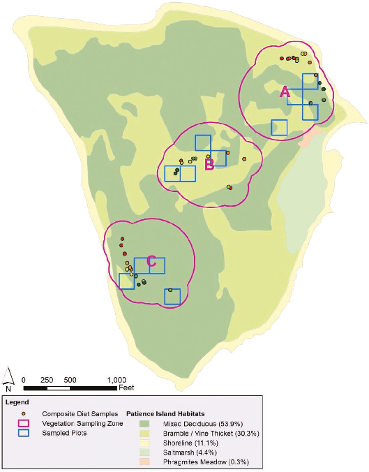 WorldLagomorph's tweet image. A new study on New England cottontails diet showed they prefer native plants high in phenolics and ash. These results corroborate these animals are generalist herbivores, but plant defences and whether the plants are native play a role in diet selection.
doi.org/10.1093/jmamma…