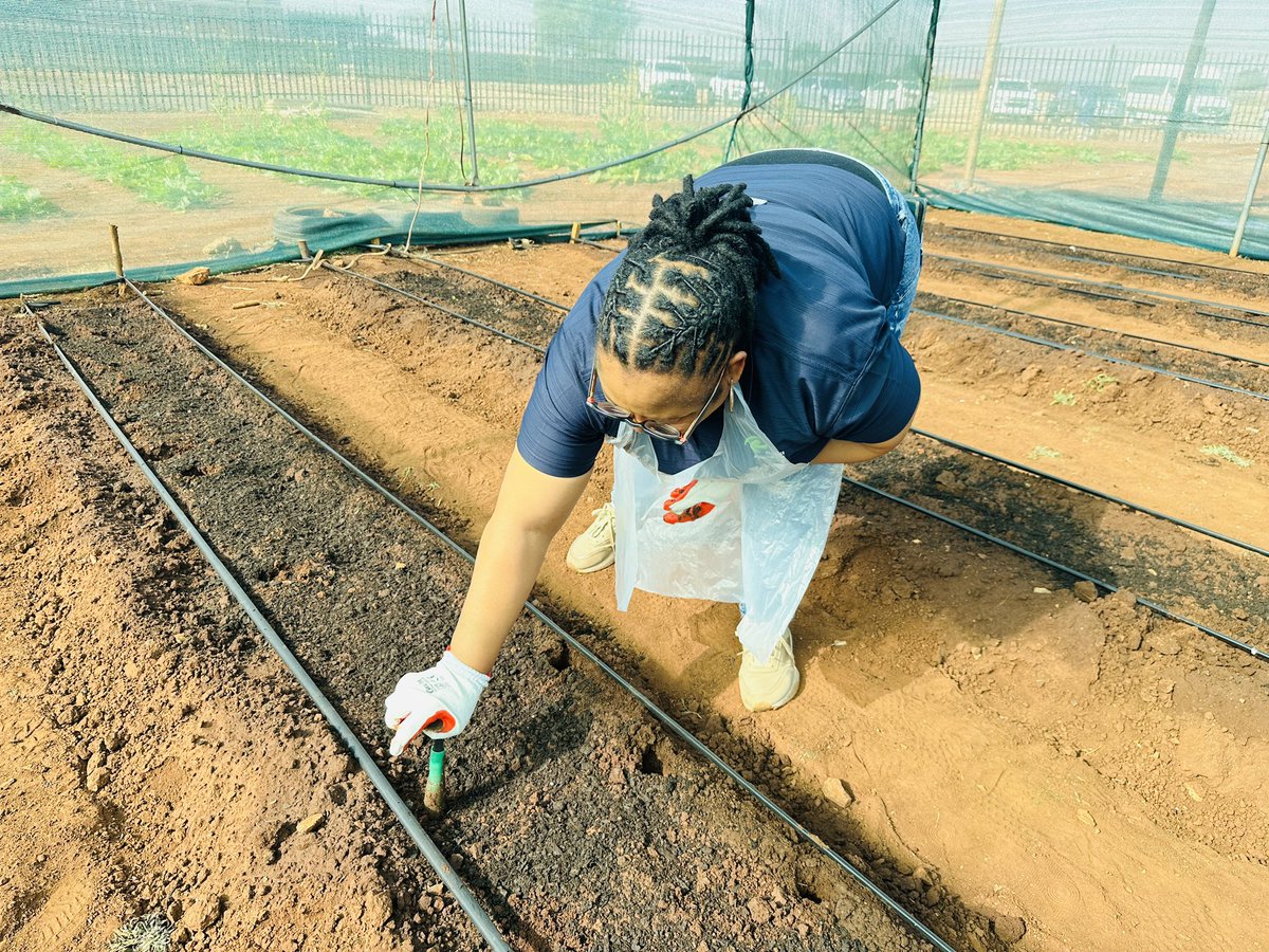 RAF_SA's tweet image. ground at Wheels of Change Agri Site, planting seeds and supporting food sustainability initiatives led by persons with disabilities. We’re proud to empower and uplift our communities!
#MandelaDay2025
#ICare²