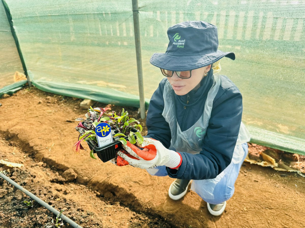 RAF_SA's tweet image. ground at Wheels of Change Agri Site, planting seeds and supporting food sustainability initiatives led by persons with disabilities. We’re proud to empower and uplift our communities!
#MandelaDay2025
#ICare²