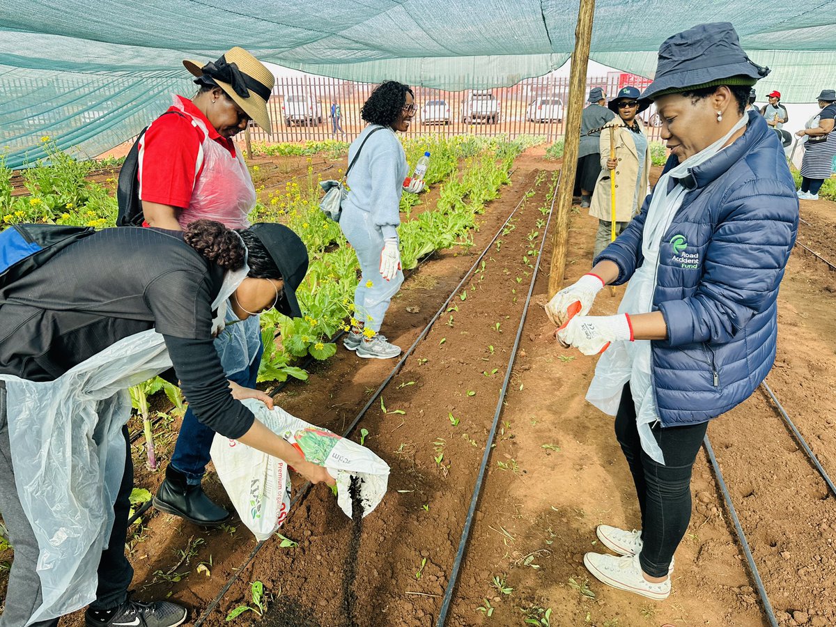 RAF_SA's tweet image. ground at Wheels of Change Agri Site, planting seeds and supporting food sustainability initiatives led by persons with disabilities. We’re proud to empower and uplift our communities!
#MandelaDay2025
#ICare²