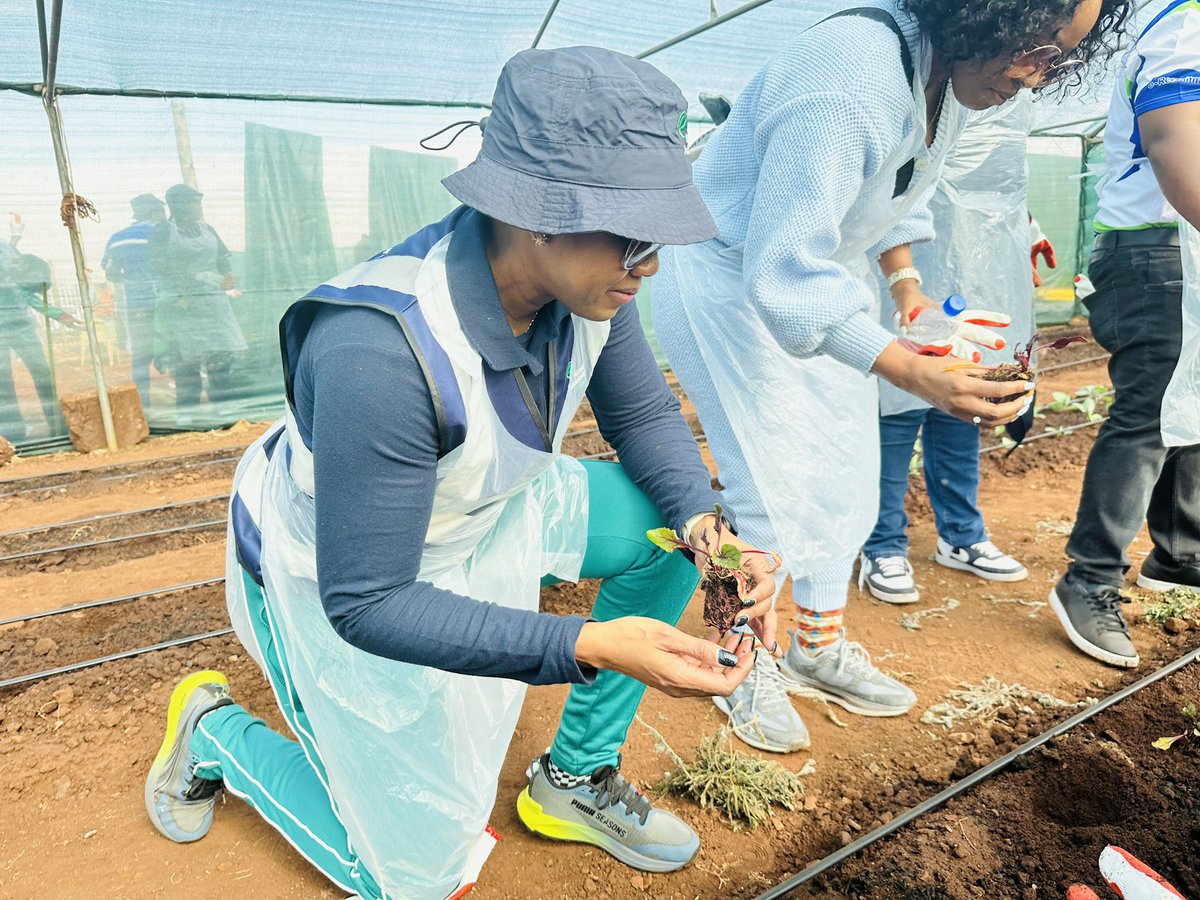 RAF_SA's tweet image. ground at Wheels of Change Agri Site, planting seeds and supporting food sustainability initiatives led by persons with disabilities. We’re proud to empower and uplift our communities!
#MandelaDay2025
#ICare²