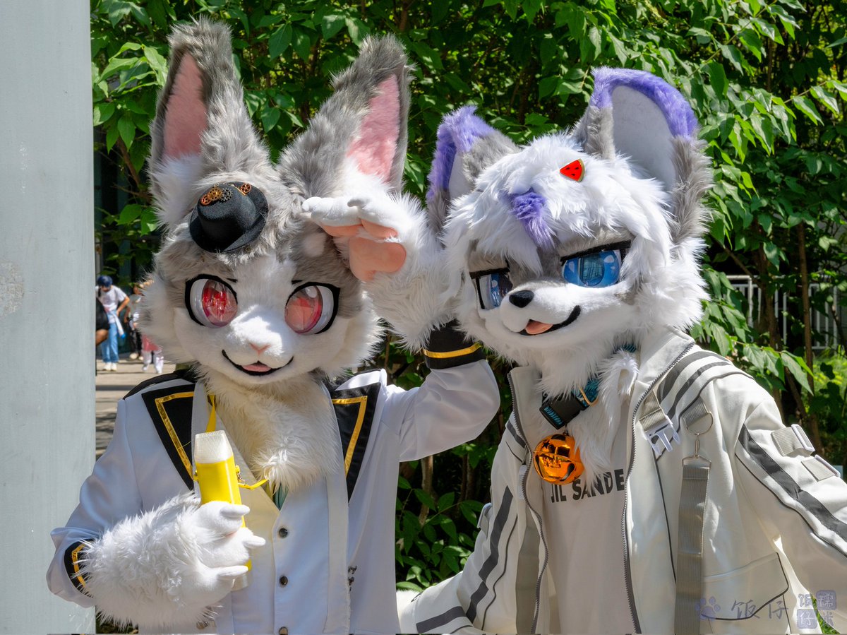 rabbitmenglong's tweet image. Go Go Go 出发咯☀️
📷 @sfanzai42
#FursuitFriday