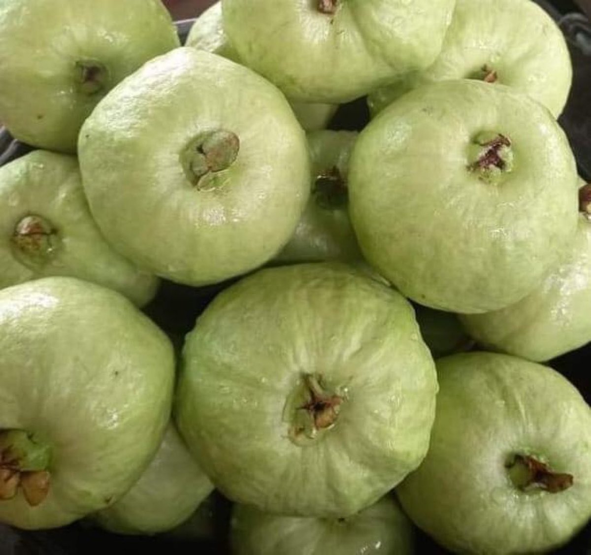 Fresh, juicy, and full of vitamin C 
#Guava #Nutrition