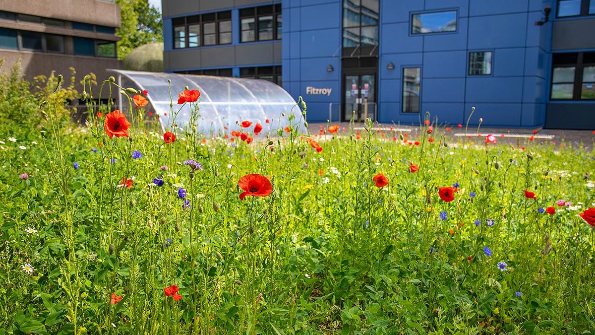 PlymUni's tweet image. University of Plymouth shortlisted for two Green Gown Awards 🌻🌺🌼
plymouth.ac.uk/news/universit…