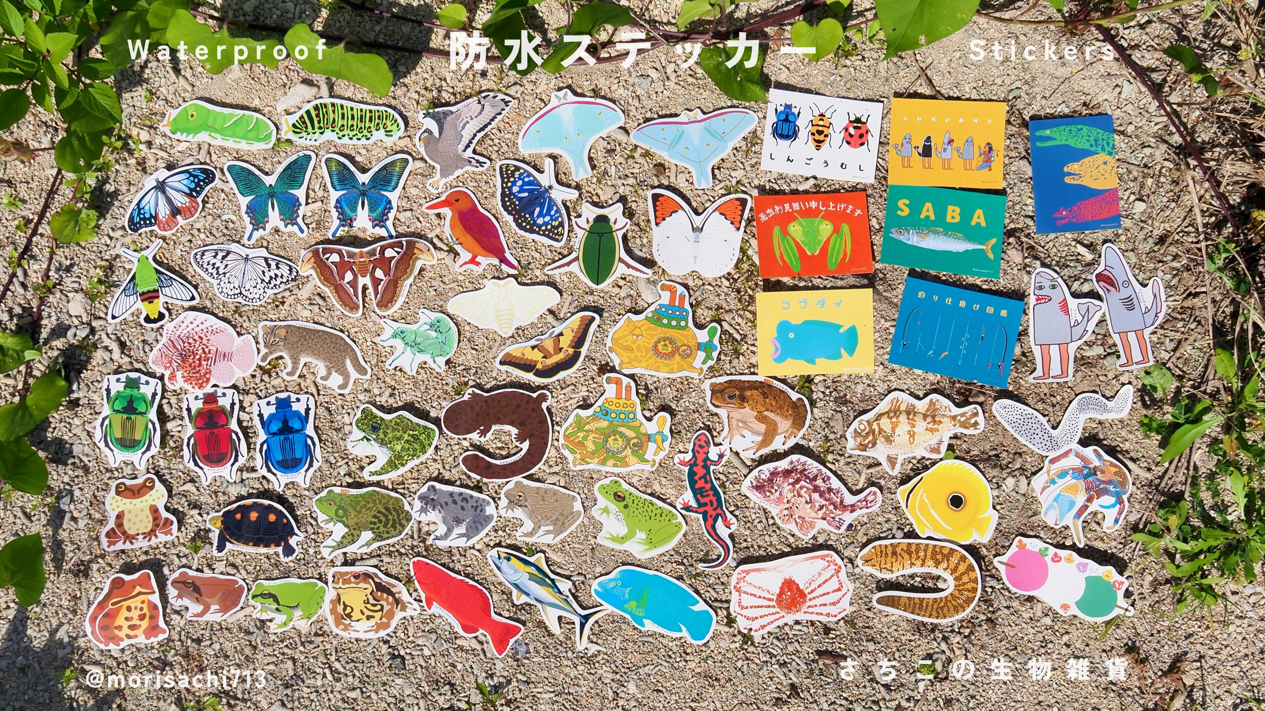 Mitsuko 雑貨 デイリークロコ Lファスナーコインケース NH1330K - ラコステ