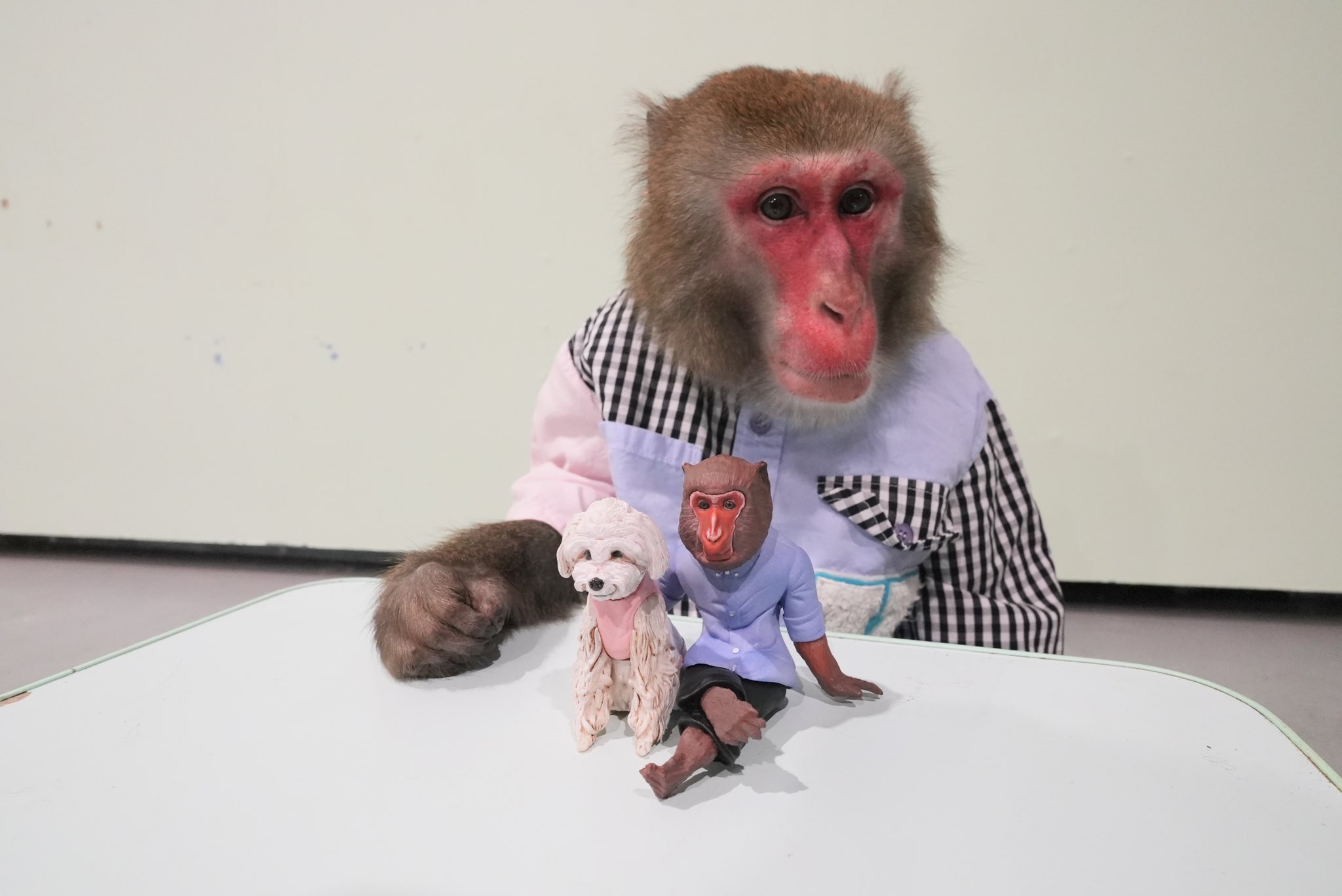 にゃんぷうさんの確認ページ cg10212135_eca50583-3a11-4ed8-