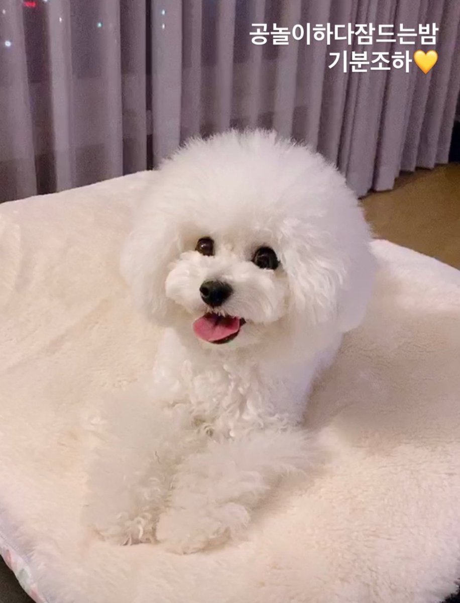 Remigus Ekeledirichi tweet media