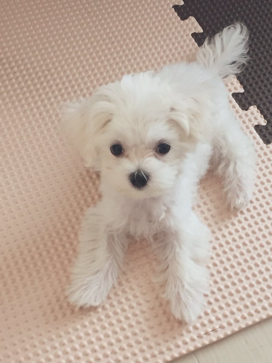 ☆sAyaka☆ (@sAyaka_0526) / Posts / X