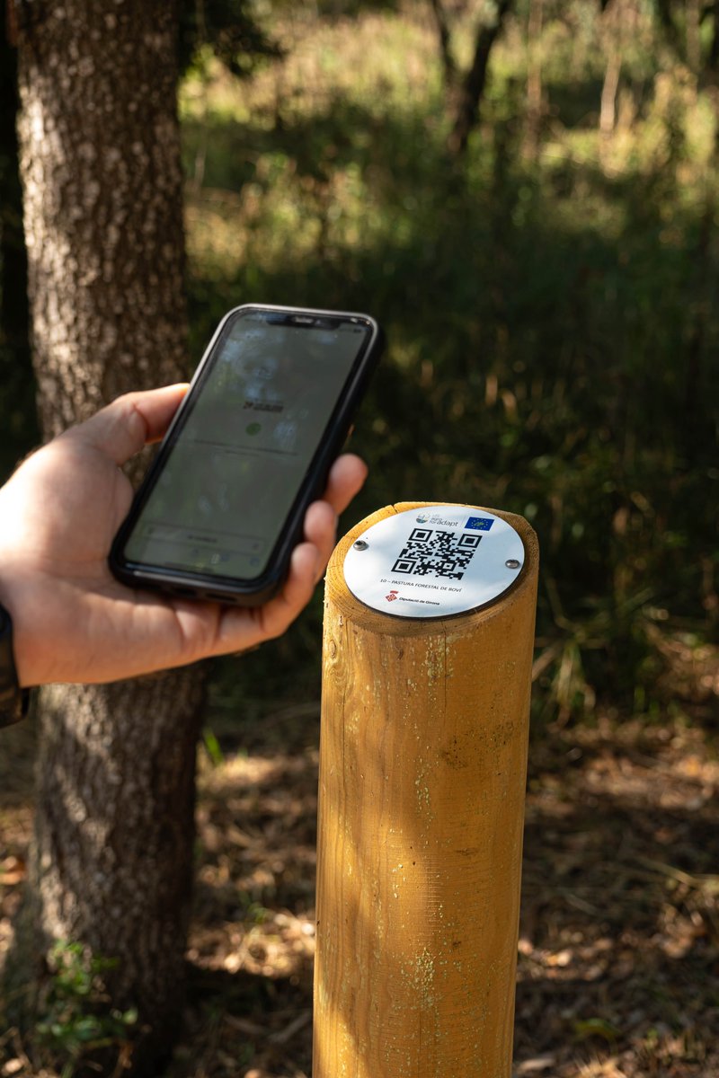DiputacioGirona's tweet image. 📲 Creem un itinerari autoguiat a #Monells, en uns terrenys propietat de la #DdGi i gestionats per @irtacat, per explicar les actuacions del LIFE #AgroForAdapt.
🌳Es tracta d’un recorregut de 12,5 km obert al públic, que consta de 1⃣5⃣ punts d’interès amb codis QR.…