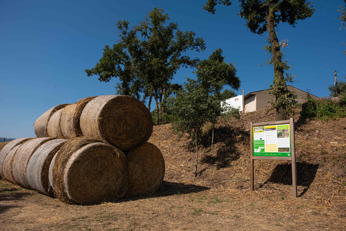DiputacioGirona's tweet image. 📲 Creem un itinerari autoguiat a #Monells, en uns terrenys propietat de la #DdGi i gestionats per @irtacat, per explicar les actuacions del LIFE #AgroForAdapt.
🌳Es tracta d’un recorregut de 12,5 km obert al públic, que consta de 1⃣5⃣ punts d’interès amb codis QR.…