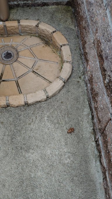 そんなところで … 