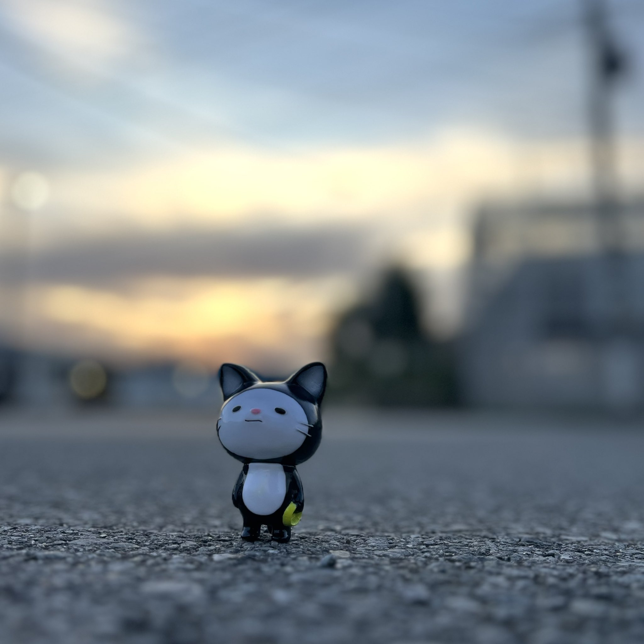 rikuページ♡新規様リクエスト　猫様　猫オブジェ 日髙聖二 on X: 