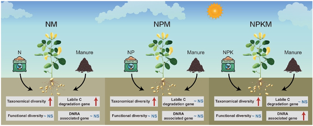 ClimateSA2024's tweet photo. 🧪🌱 Partial organic substitution increases microbial diversity but has divergent effects on functional microorganisms under various fertilization regimes in an ultisol
📖 Full article: https://t.co/DzQ89fMJNs
#SoilMicrobiome #OrganicFertilizer #SoilHealth #Ultisol #Agroecology https://t.co/FMQZKk9ELt