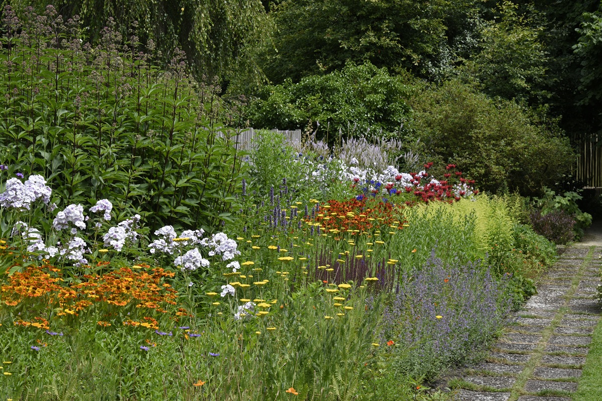 Geurende vaste planten - Rozenfestival - Kunstweekend - Orbis minivijver - eetbare planten - Super Salvia - mailchi.mp/7af3c04112f0/d…