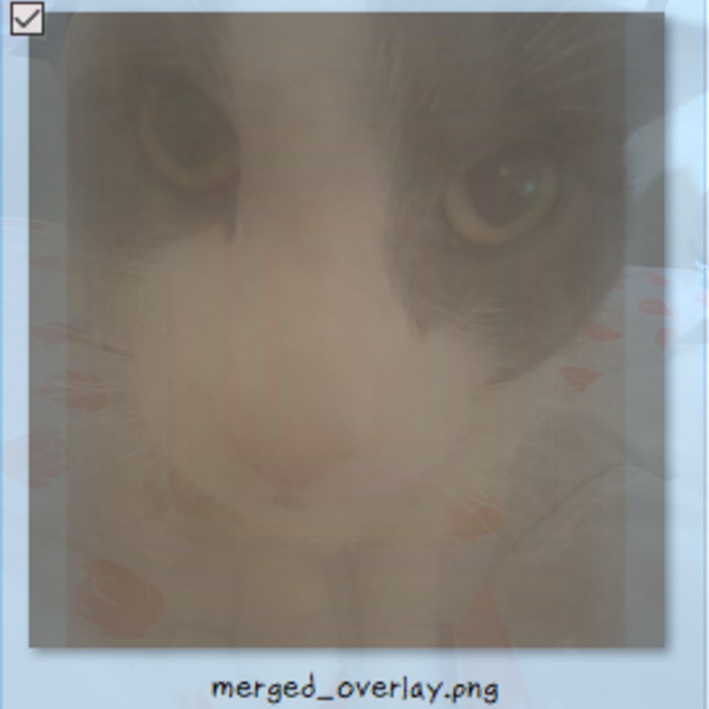 ssoggycat's tweet image. all 386 sogs combined together. he's still ever-so-slightly recognizable!!!!!!!!!!!!!!!!!!!!!!!!!!!!!!