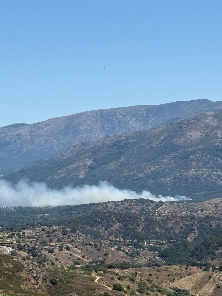 AT_Brif's tweet photo. 14:36📸#IFBurgohondo #Ávila 

Este es el aspecto del incendio forestal de Burgohondo al que se dirigen los compañeros de @brifpuertopico.

Somos #BRIF de @mitecogob https://t.co/NEoLWHaAip