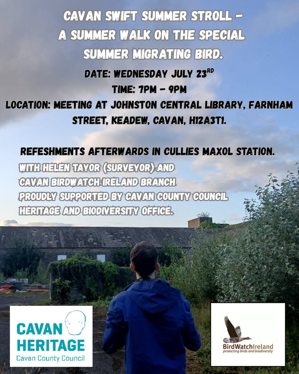BirdWatchIE's tweet image. Join the Cavan BirdWatch Ireland branch for a Swift Walk in Cavan town led by the fantastic @BirdWatchIE Swift Surveyor, Helen Taylor, this Wednesday July 23rd @ 7pm starting at Johnston Central Library. All welcome.🙏 Thanks to @cavancoco for supporting this work! 🙌