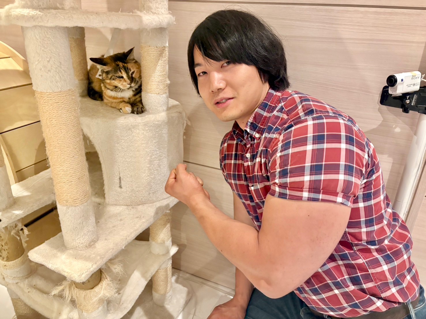 メル55507です。藤島部屋 ・熱海富士 熱海富士 - 伊勢ヶ濱部屋 所属力士