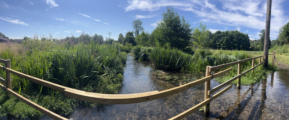 PJennings88's tweet image. Fencing off rivers from livestock works wonders for marginal plant growth This section of the River Chess was fenced off last year. The plant life has already transformed the channel. @ChilternsNL @ChilternSociety