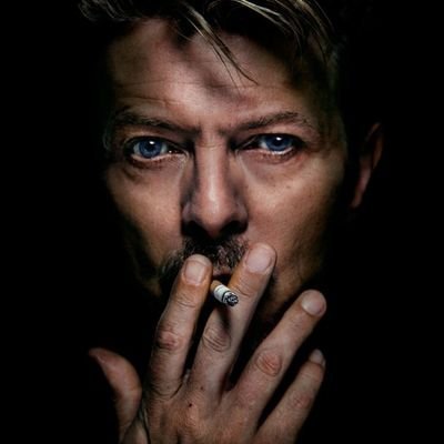 Кнез Срђан А. Бабовић tweet media