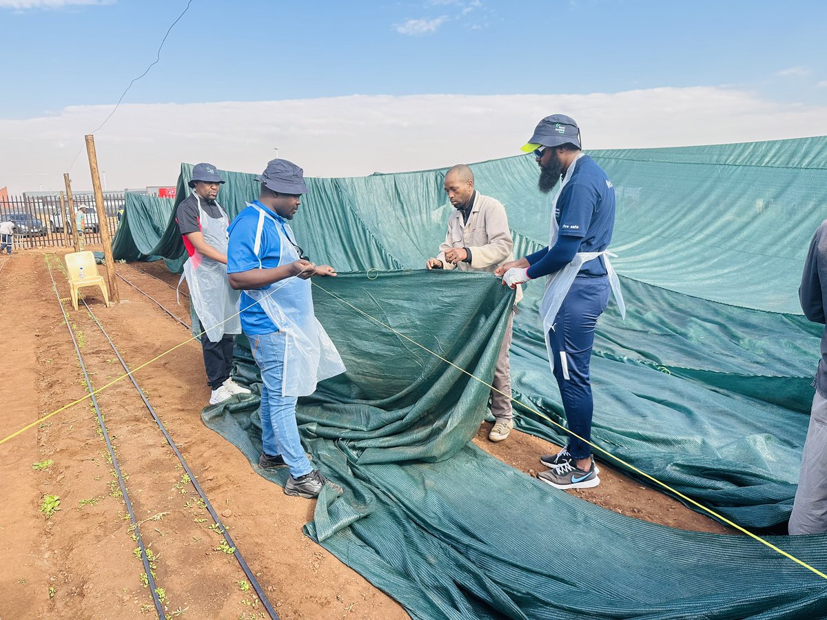 RAF_SA's tweet image. Our RAF employees showed incredible teamwork and strength as they installed a shade sail over the greenhouse at the Wheels of Change Agri Site. It’s more than just farming—it’s about growing together, building resilience, and creating a sustainable future
#MandelaDay2025
#ICare²