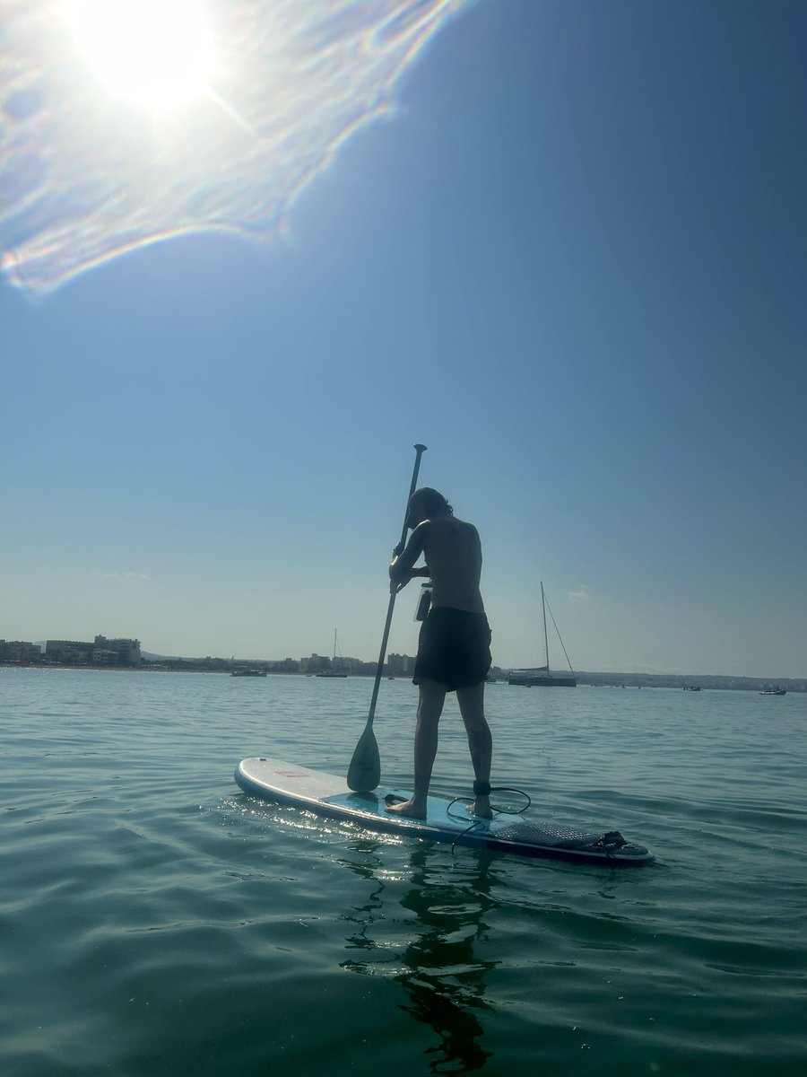 daysliedormant's tweet image. paddle boarding in the morning (i fell in and lost my glasses at the bottom of the sea rip)