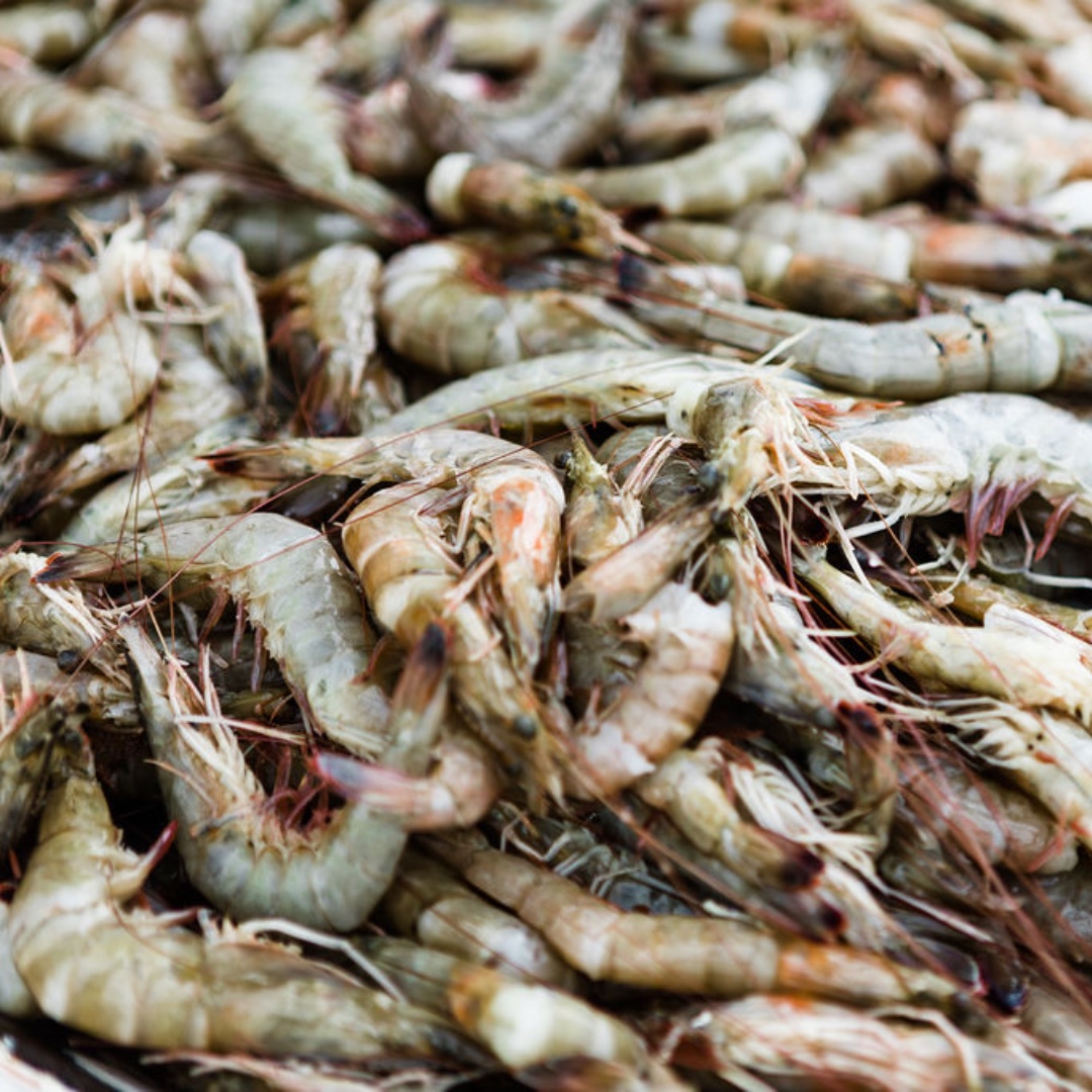 Brown shrimp season is here in earnest and we're helping you get in the spirit with a little discount through the weekend. Get $2 off per pound for orders of 3 pounds or more. Fresh, head-on shrimp only.