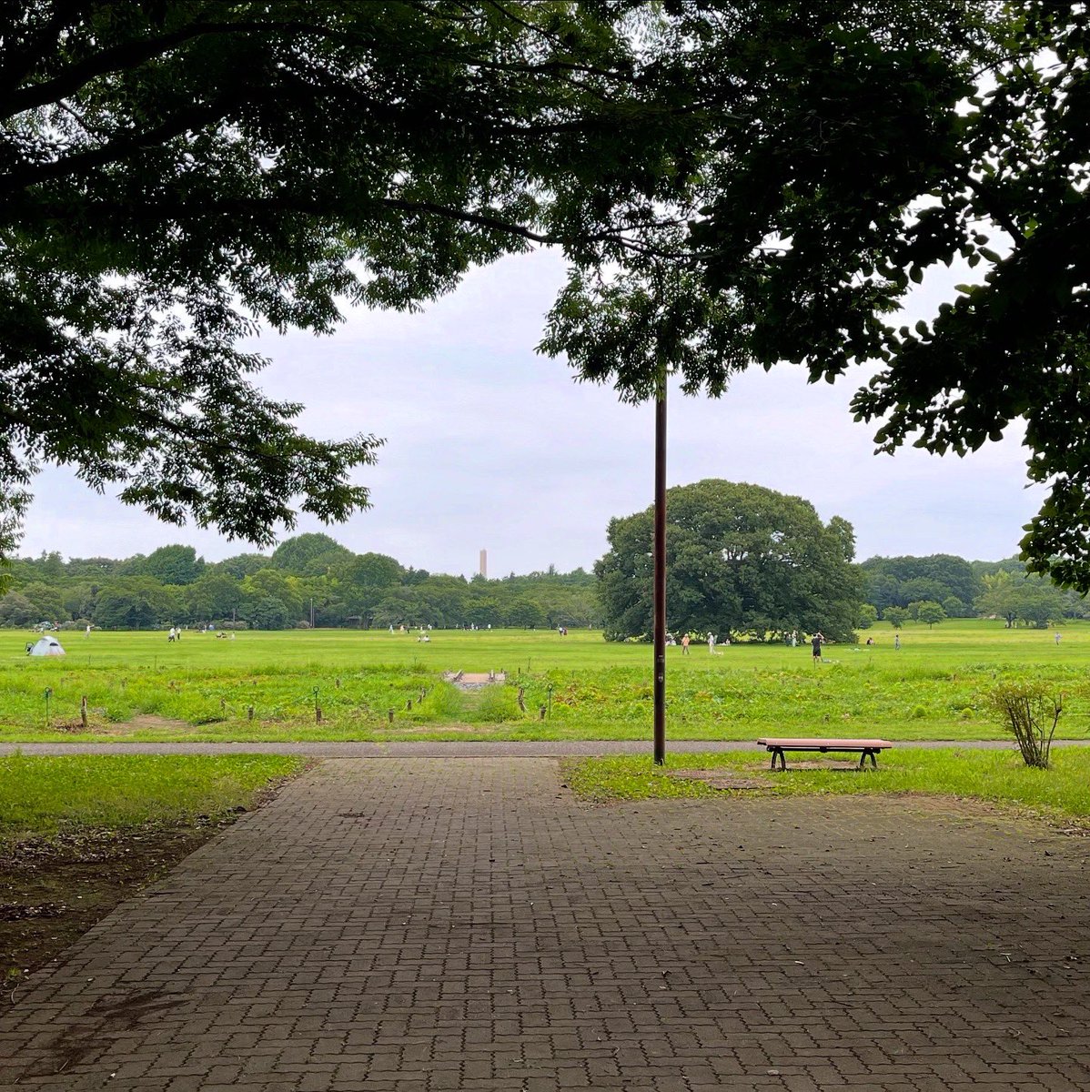 maichin_0204's tweet image. この前暑さが少し和らいだので
家族みんなでピクニックに行ってきたよ！
お弁当はだぃちん(👦🏻)が作ってくれました😋🍴
美味しかったなぁ💗

そういえば最近のTMI✏️
前髪伸ばしてます✌🏻
人生初と言っても過言では無いレベルw
いい女目指して巻き方練習中です🔰

#picnik #ピクニック