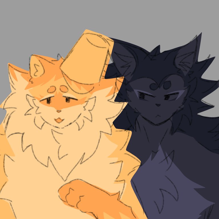 PantherMyBloved's tweet image. theyre fluffy an im losing it why wont their what