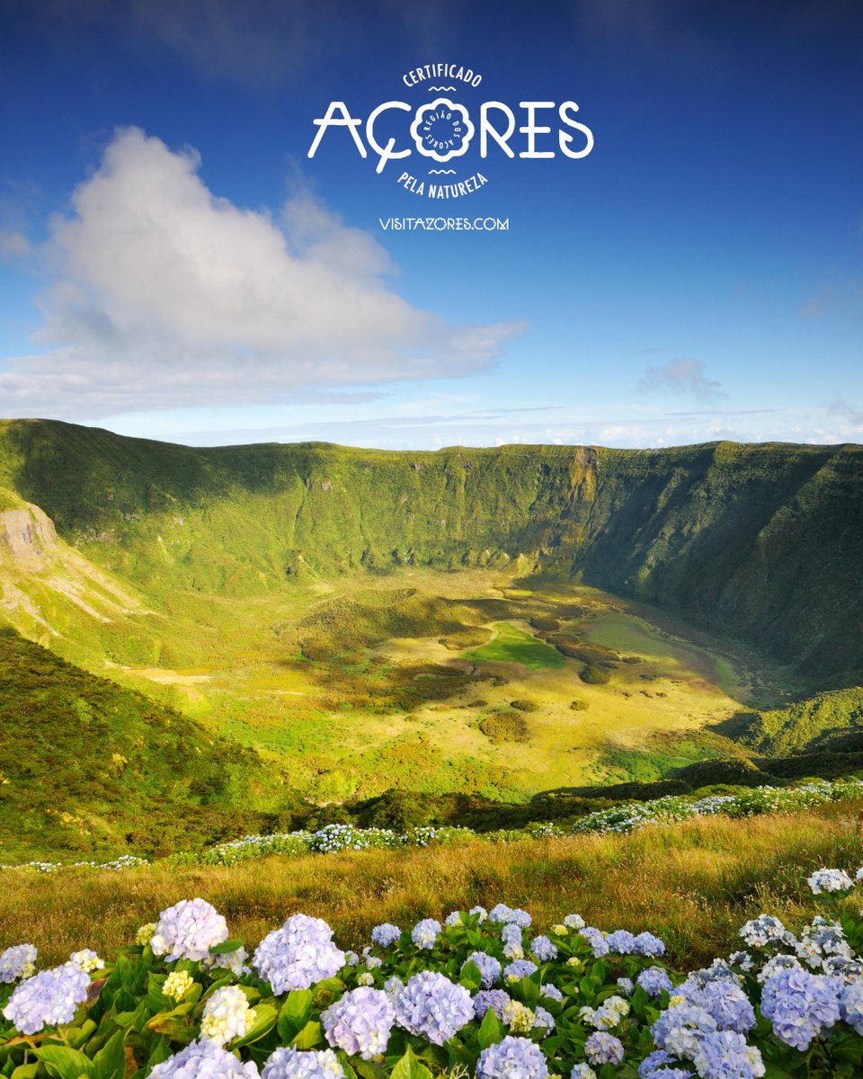 Em que ilha estamos? Dica: Fica no Grupo Central.

Which island are we on? Hint: It's in the Central Group.
#visitazores #açores #azores