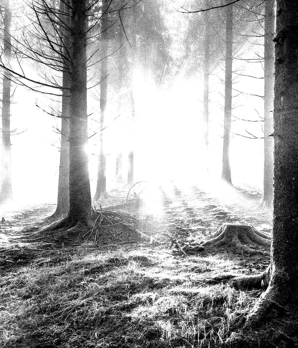 KaiserBenKaiser's tweet image. „Die größte Sünde ist es, Gott nicht alles zuzutrauen. Wir denken von ihm oft viel zu sehr wie von einem Menschen, dem wir sehr vertrauen und von dem wir wissen, dass wir uns auf ihn verlassen können, der aber nur Mensch ist und uns von Zeit zu Zeit enttäuscht.“
H. M. Machate,…