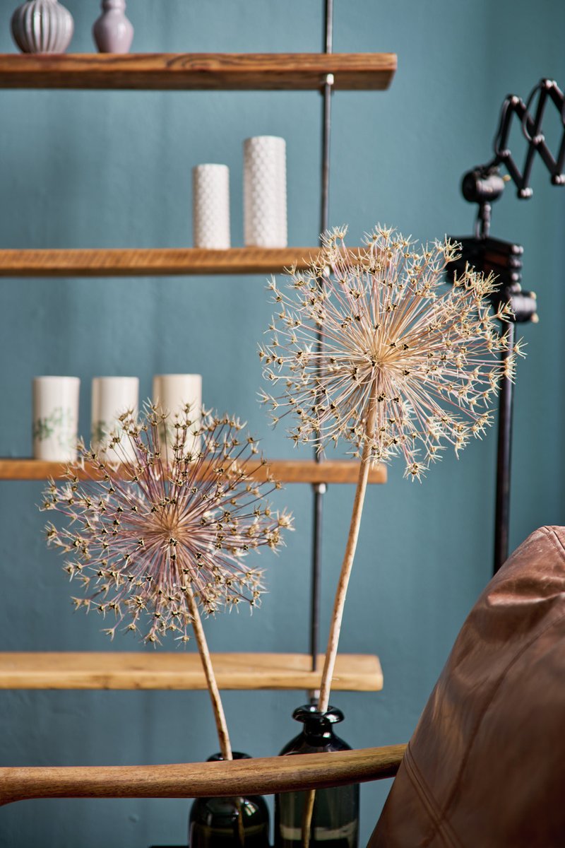 In this beautiful interior space, the chosen hue brings a touch that is both soothing and contemporary. Ideal for creating a warm and inviting atmosphere, it showcases decorative elements while adding character to the room.
Innostar can be ordered here: keimpaintshop.co.uk/product/innost…