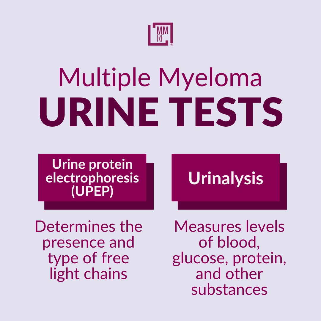 theMMRF's tweet image. Urine tests play a role in diagnosis, determining any damage to your kidneys and also tracking how well you respond to treatment. Download our Learn Your Labs booklet, part of the MMRF Patient Toolkit, to learn more: ow.ly/uZXj50WqRA2