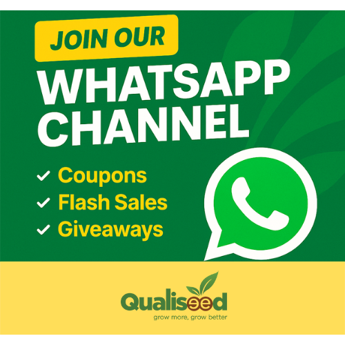 Qualiseed 🍅 🧅 🫑 🌽 🌾 tweet media