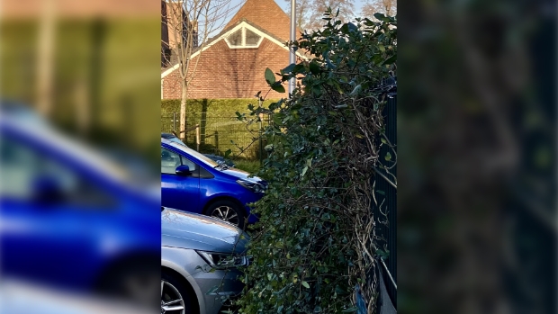 Nieuw artikel -  weekbladdebrug.nl/l/27949