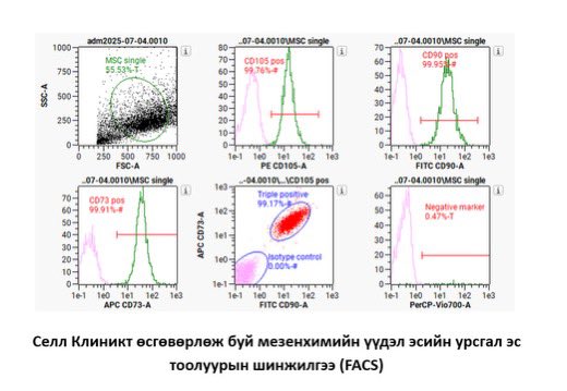 Зураг дээр харагдаж буй шинжилгээ нь мезенхимийн үүдэл эс мөн эсэхийг баталдаг, эсийн чанарыг үнэлдэг, цэвэршилтийн зэргийг тодорхойлдог буюу үүдэл эсийн гадаргуугийн маркеруудыг илрүүлдэг, тоолдог шинжилгээ юм. Энэ шинжилгээг мезенхимийн үүдэл эсийн өсгөвөр хийж байгаа