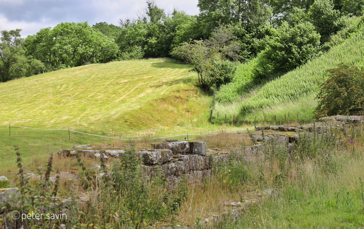 pete_savin's tweet image. A section of Hadrian’s Wall west of Gilsland Village before it is lost under the railway embankment at Milecastle 48. The north ditch can just be seen at the centre of the photograph. Rail users between Newcastle and Carlisle can view this section #Hadrianswall
