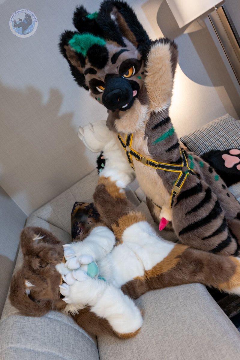skittleshusk's tweet image. "He didn't get enough affection from his parents so daddy yeen must fix him"
#NSFW
📸 @CoastalKangaroo
🍞 @pawfucker_