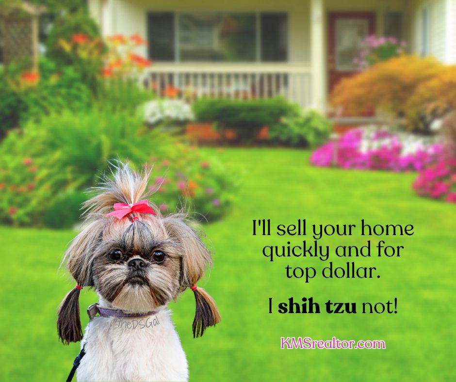 KMSrealtor's tweet image. 🏠 Looking for a change of scenery❓
Need to upsize or downsize❓
Whatever your reason for moving, here to help! 📱
#homeseller #moveupbuyer #upsizing #downsizing #retirement #timeforachange #Fridayfun #KathiMeyerSullivan #BHHSevolution #KMSrealtor #homesweethome #theDSGal