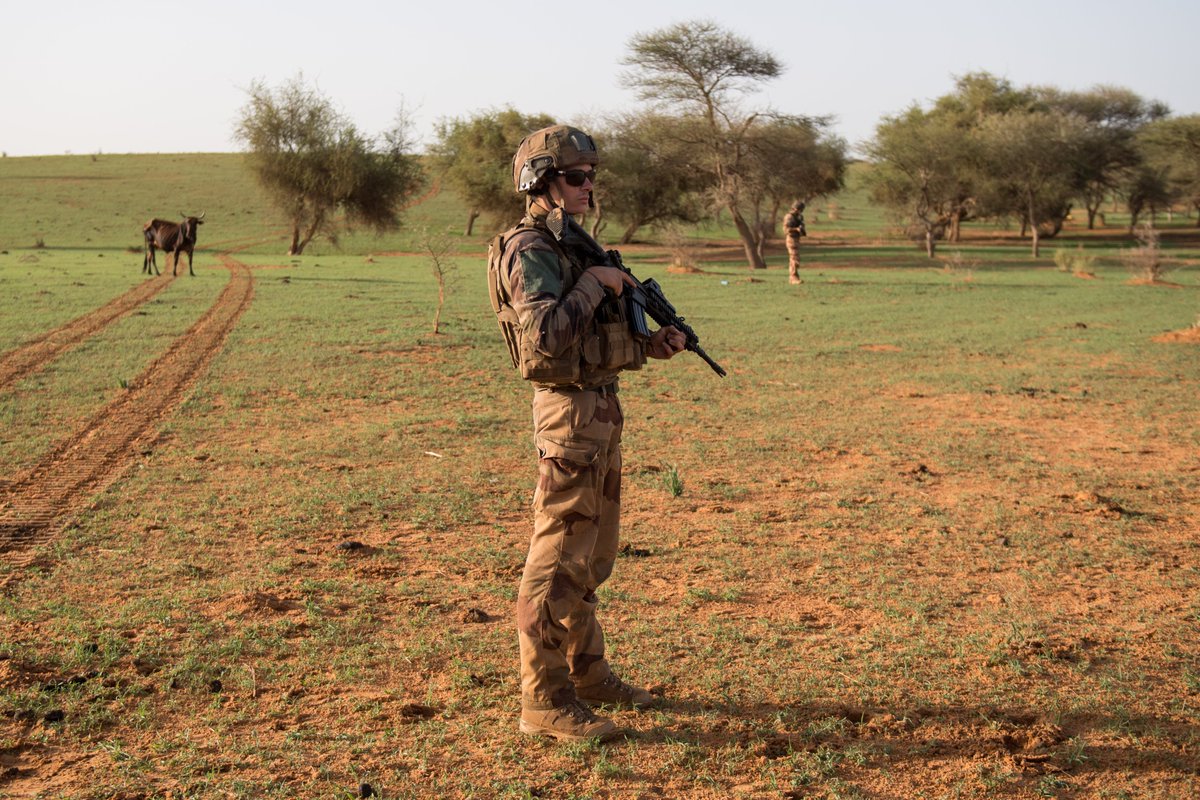 ecpa_d's tweet image. Le 27 juillet 2019 – N'Daki (Mali)
Un chasseur du 7e bataillon de chasseurs alpins (7e BCA) sécurise le périmètre lors du ratissage du secteur.
Réf. : 2019_ECPAD_045_C_049_003
© Cyrielle Sicard/ECPAD/Défense
@Armees_Gouv