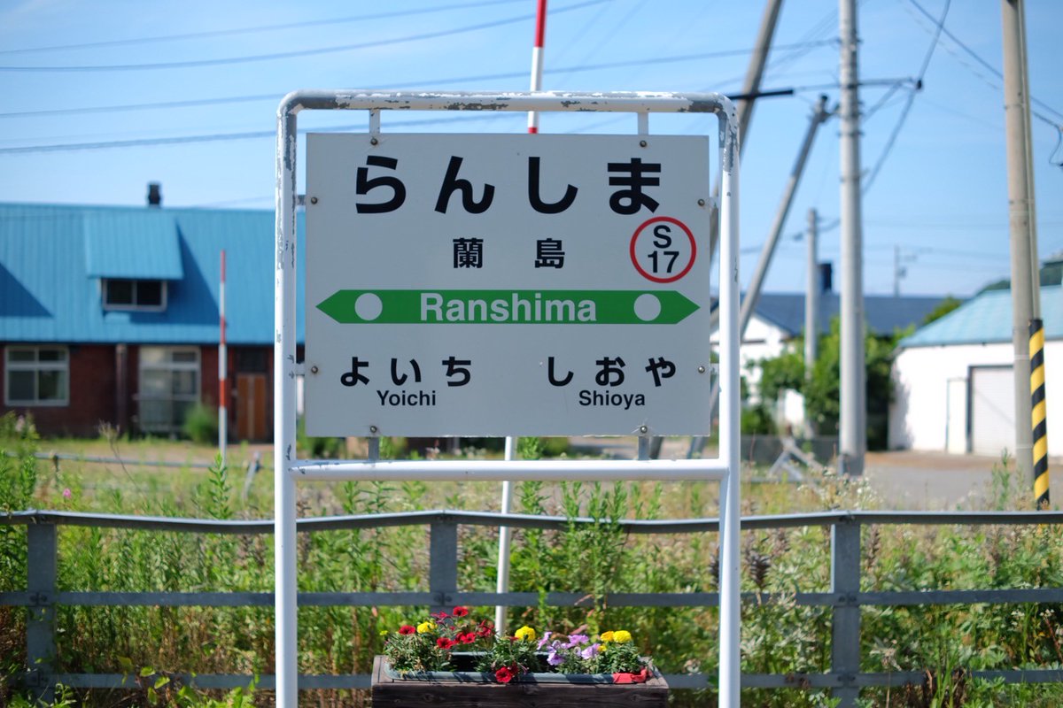 先日、蘭島で撮影会を行いました。天気にも恵まれ、海水浴場は多くの人で賑わっていました。撮影の合間には、夏の海を満喫することができ、充実した一日となりました。