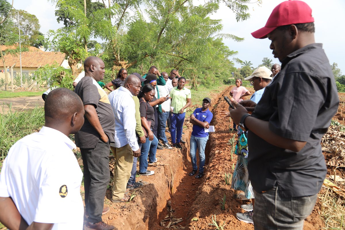 ASARECA (@asareca) on Twitter photo Practical Training on Climate-Smart Agriculture practices in Agroecology.
ToTs are deep in the field, translating theory into action!
At <a href="/NaroKawanda/">National Agricultural Research Laboratories(NARL)</a>, demonstration plots have been set up to equip trainers from Uganda, Tanzania, Cameroon, Burundi, Rwanda, and Kenya with hands-on Practical Training on Climate-Smart Agriculture practices in Agroecology.
ToTs are deep in the field, translating theory into action!
At <a href="/NaroKawanda/">National Agricultural Research Laboratories(NARL)</a>, demonstration plots have been set up to equip trainers from Uganda, Tanzania, Cameroon, Burundi, Rwanda, and Kenya with hands-on