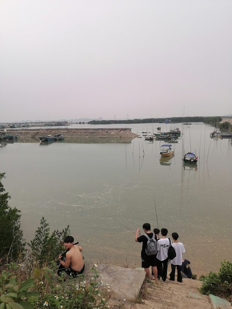 茂名电白是第一次去，海塘边红树林有不少水生动物，但水质不咋地，还碰到一群学生小鲜肉来此垂钓。#gaytravel